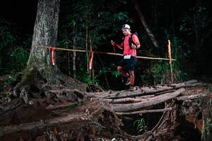 BIB: 
                            <button type="button" onclick="openModal(27391884)" class="btn btn-primary btn-sm float-right btn-popup" data-toggle="modal" data-target=".modal-high-quality">
                        <i class="fas fa-shopping-cart"></i> Add to Cart
                    </button>
                                            <button type="button" onclick="isThisMe(27391884, true)" class="btn btn-success btn-sm float-right btn-popup btn-isme hidden" data-toggle="tooltip" data-placement="bottom" title="นี่คือรูปของคุณใช่ไหม คลิกที่นี่เพื่อเอาเข้าอัลบั้ม">
                        <i class="fas fa-plus"></i> Add to album
                    </button>
                    <button type="button" onclick="isThisMe(27391884, false)" class="btn btn-warning btn-sm float-right btn-popup btn-isnotme hidden">
                        <i class="fas fa-ban"></i> Remove from album
                    </button>